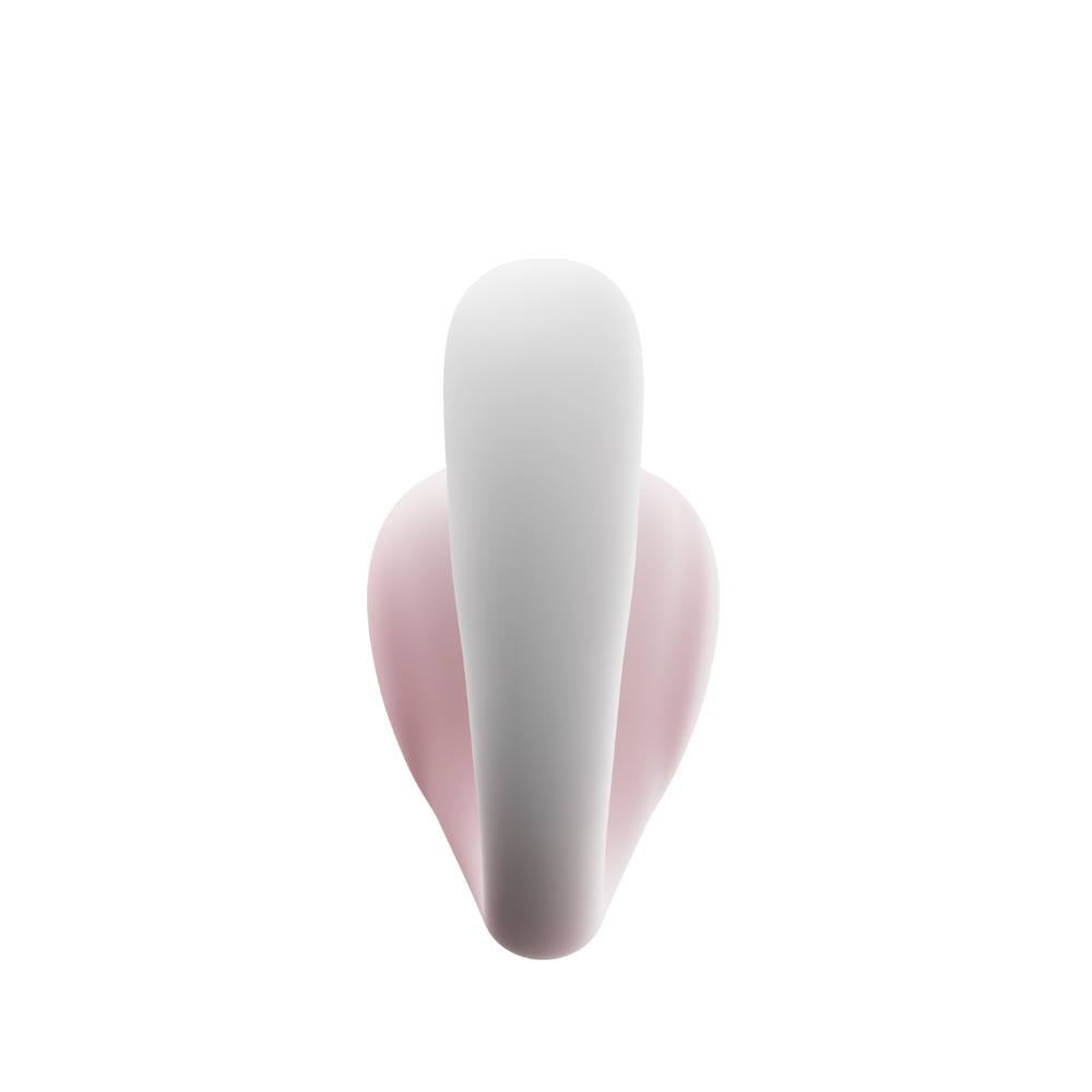 the elegant nose